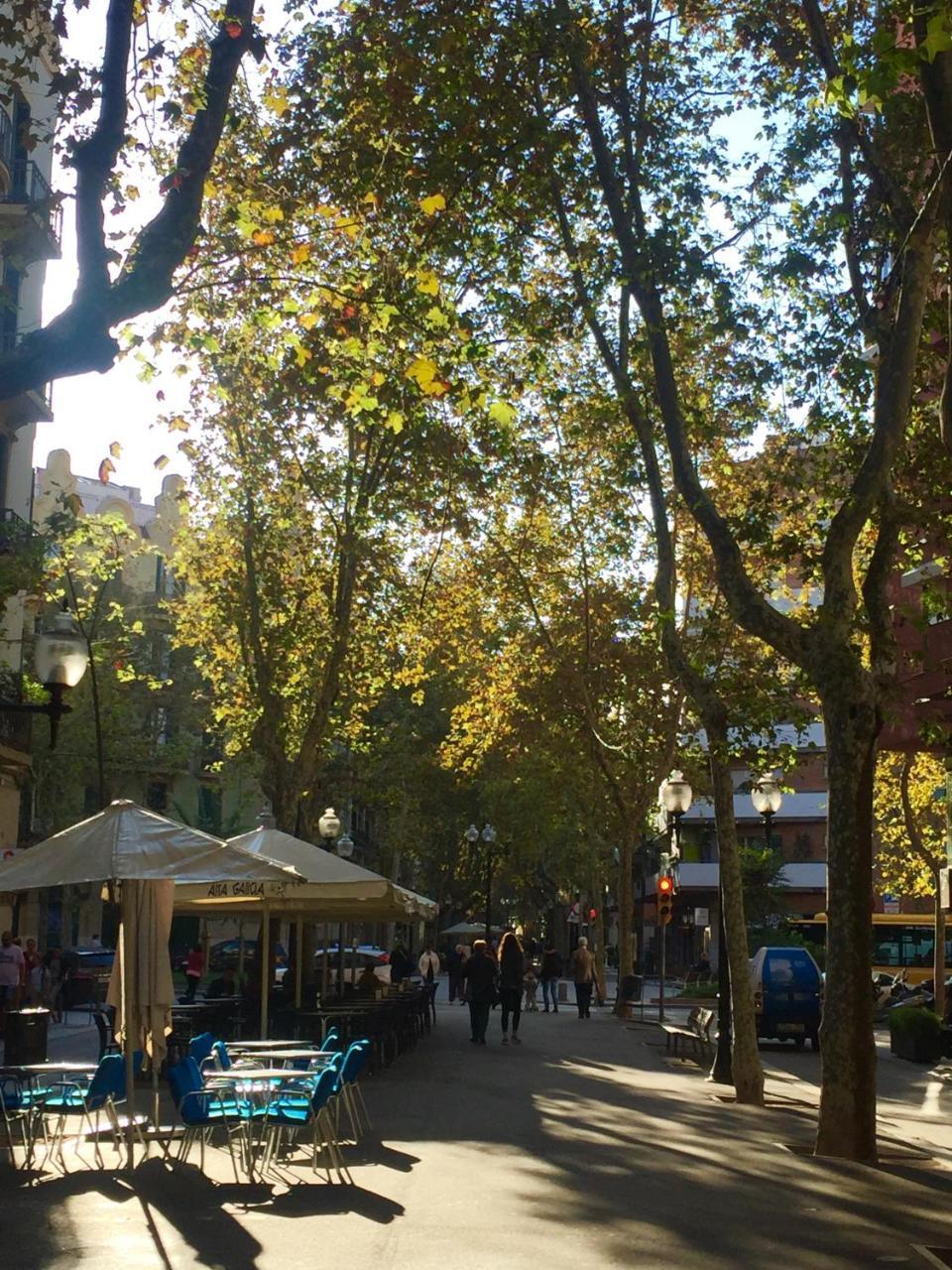 Charm Miro Daire Barselona Dış mekan fotoğraf